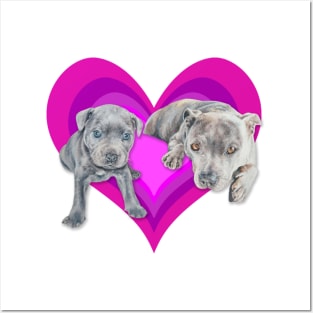 Gorgeous Staffy pups on an eyecatching rainbow heart! Posters and Art